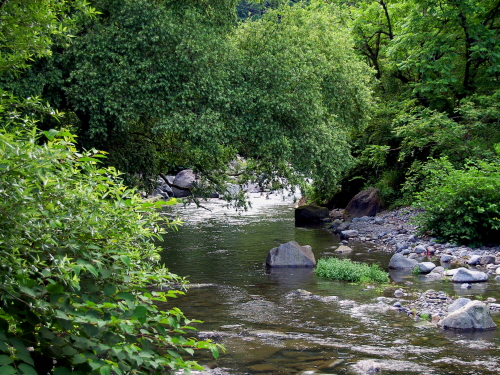 키지테이 호에이소 료칸앞을 흐르는 강물
